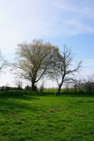 Domaine AbracadaRoom : Mesnil & Une Nuit - Image 12