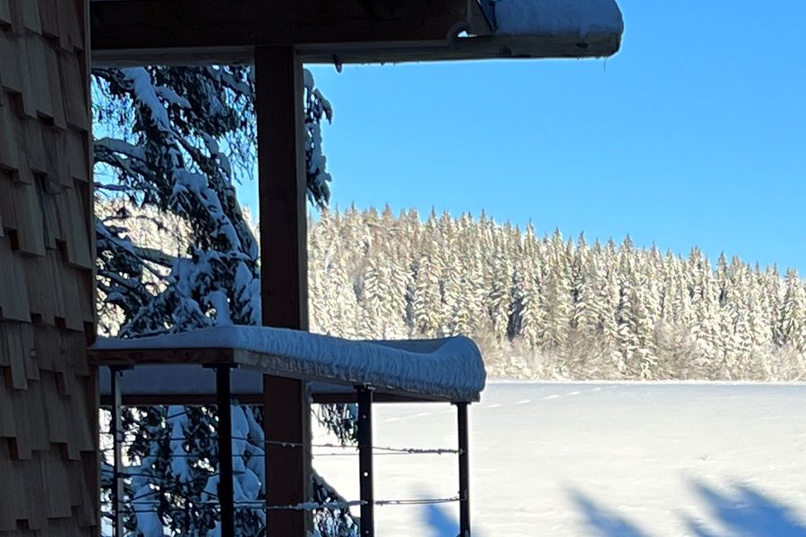 Cabane La Cébriot & Spa & Sauna — photo 2