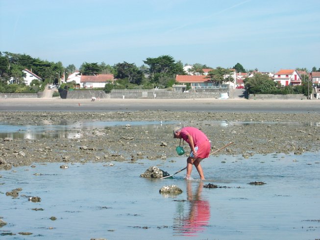 Hébergement AbracadaRoom : Wagon de Train  16 places - Image 16