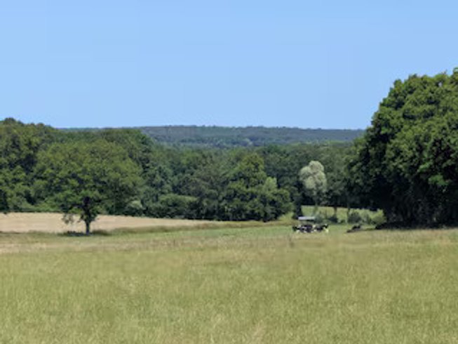 Hébergement AbracadaRoom : Datcha en Brocéliande - Image 26