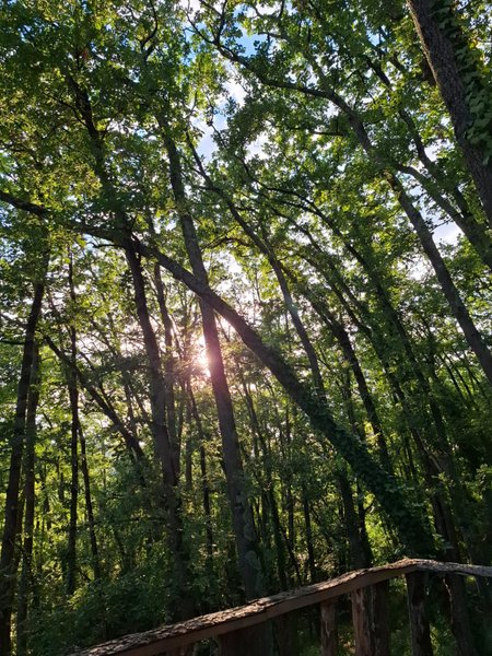 Hébergement AbracadaRoom : Cabane " Toi &  Moi " - Image 12