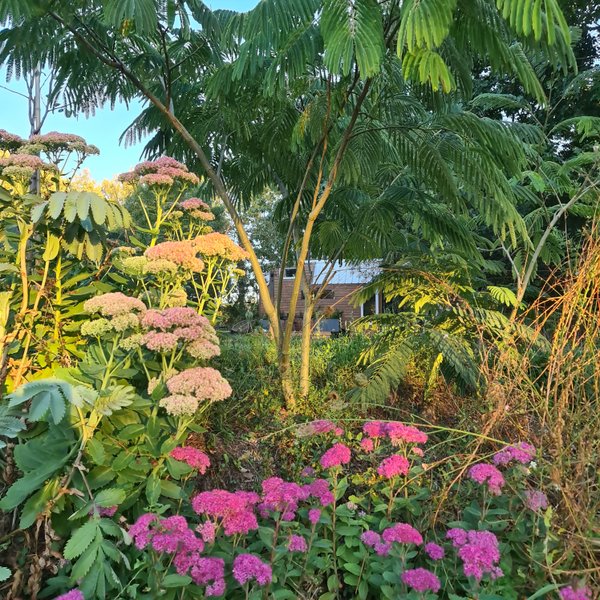 Domaine AbracadaRoom : Les Nuits du Verger - Image 5