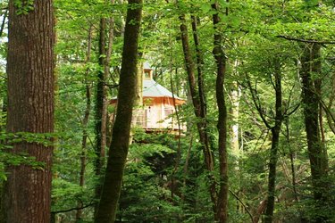 Cabane Vigie à Cléder (1)