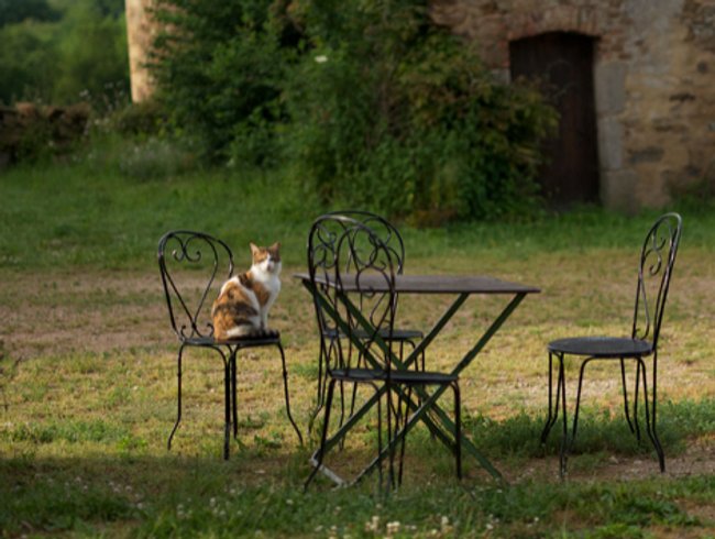 Domaine AbracadaRoom : Ferme des Ruats - Image 9