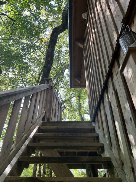 Hébergement AbracadaRoom : Cabane Perchée Jurassic - Image 23