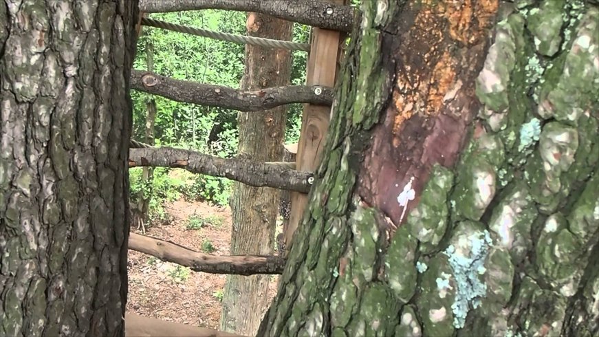 Domaine AbracadaRoom : Domaine St-Jean de l'Arbousier - Image 9