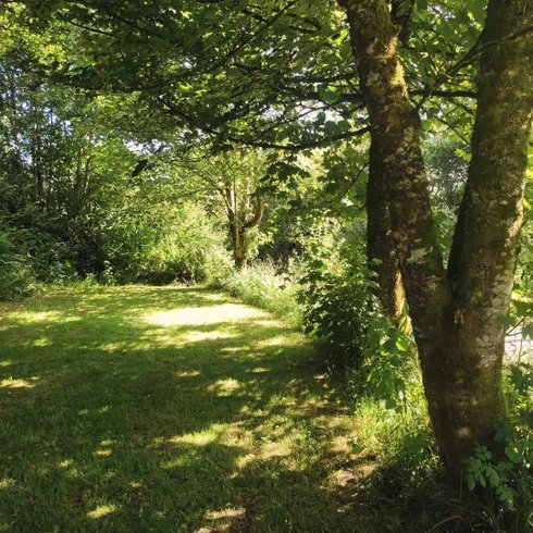 Hébergement AbracadaRoom : Tiny des Monts d'Arrée - Image 17