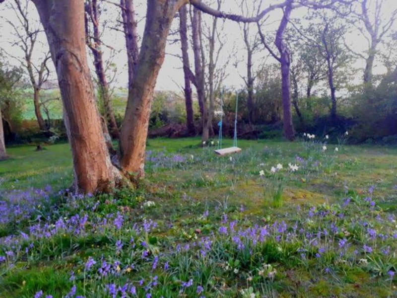 Hébergement AbracadaRoom : La Roulotte d'Antifer - Image 16