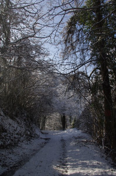Domaine AbracadaRoom : La Cabane aux Rêves - Image 15
