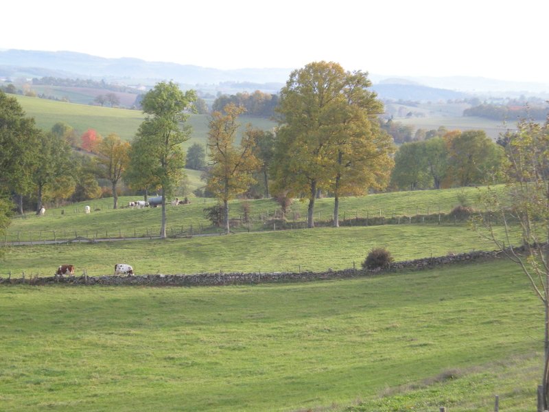 Domaine AbracadaRoom : LES CHAMBRES DE L'OUEST - Image 7