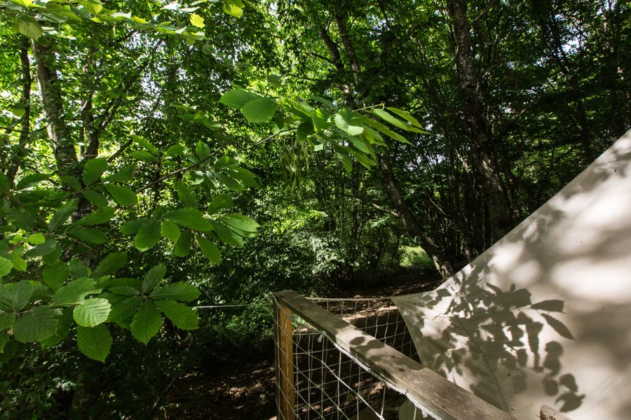 Hébergement AbracadaRoom : Lodge Samana - Image 34