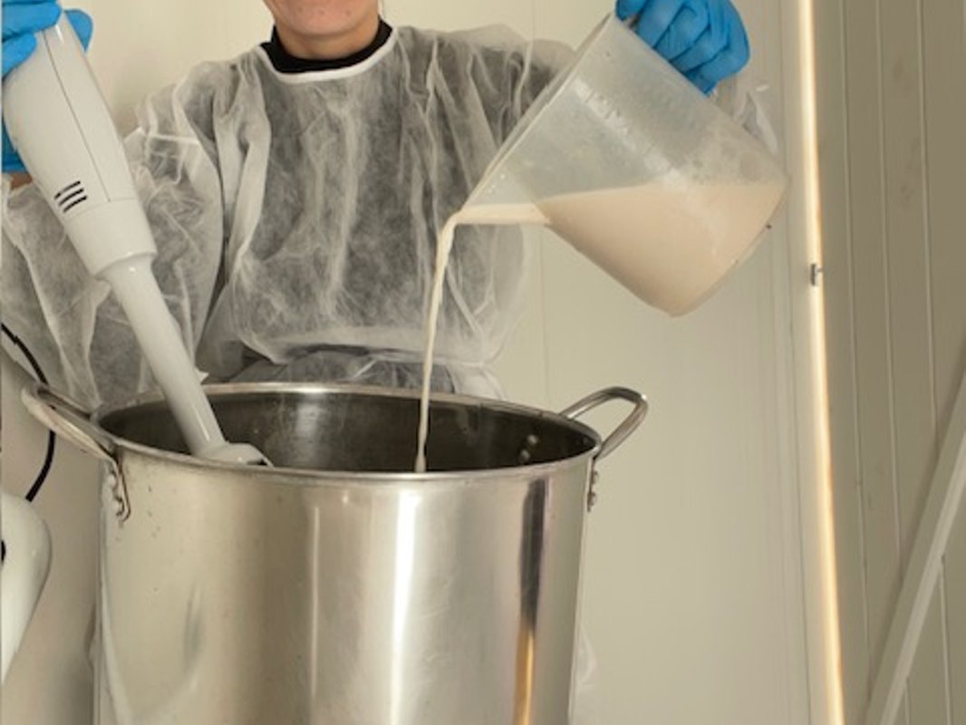 Chalet Estive au cœur de la ferme à Saint Ybars (17)