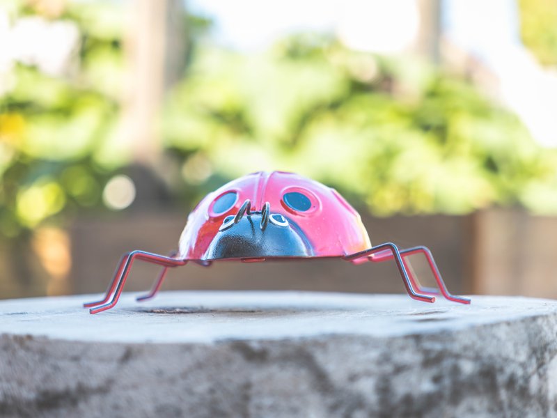 Domaine AbracadaRoom : DOMAINE DES 7 CEPAGES - Image 7