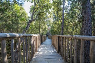 Cabane dans les arbres Corse-du-Sud