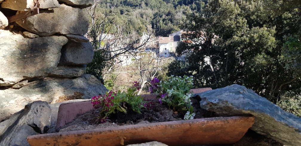 Domaine AbracadaRoom : Aghja Suttana - Image 5