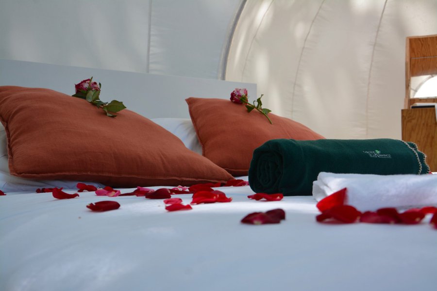 Hébergement AbracadaRoom : Bulle Arômes - Image 3