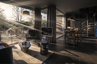 Lodge Tigres blancs à Pessac (1)