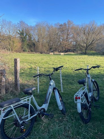 Domaine AbracadaRoom : Domaine du Canal - Image 47