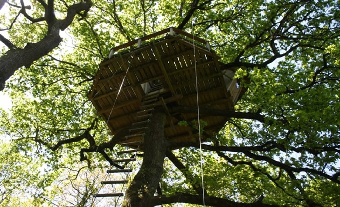 La Cabane perchée Nijal à Ploemel (2)