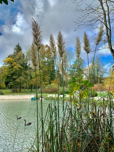 Domaine AbracadaRoom : Domaine de Neuville - Cabanes sur l'eau d'exception - Image 16