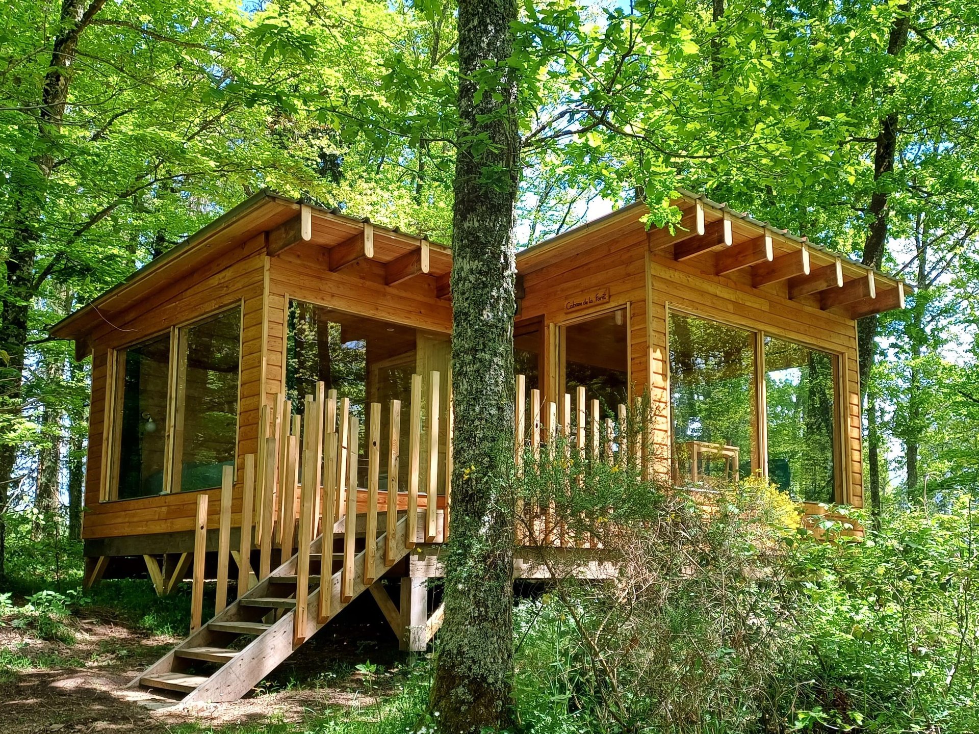 Cabane de la Forêt au bord d'un lac