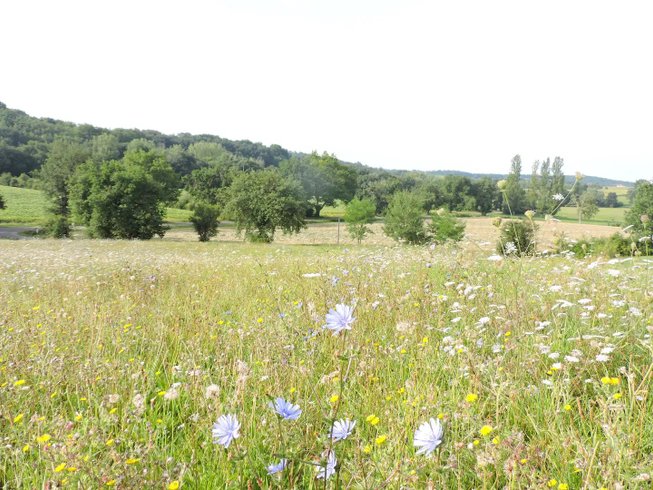 Hébergement AbracadaRoom : Chalet Spa Mélèze - Image 27