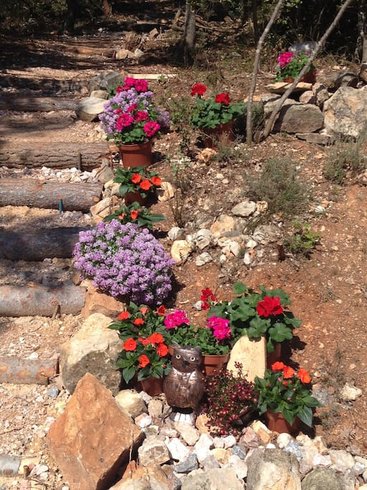 Domaine AbracadaRoom : La Cabane dans le Var - Image 3