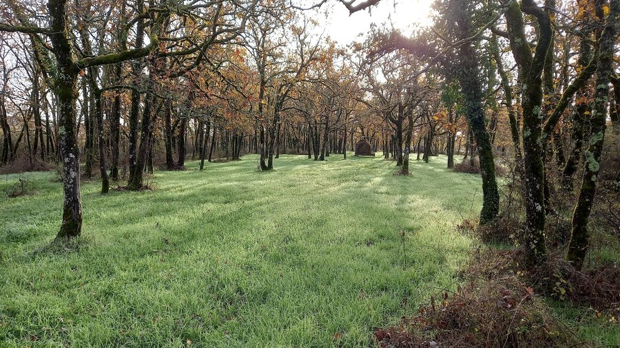 Domaine AbracadaRoom : Begayne - Image 3