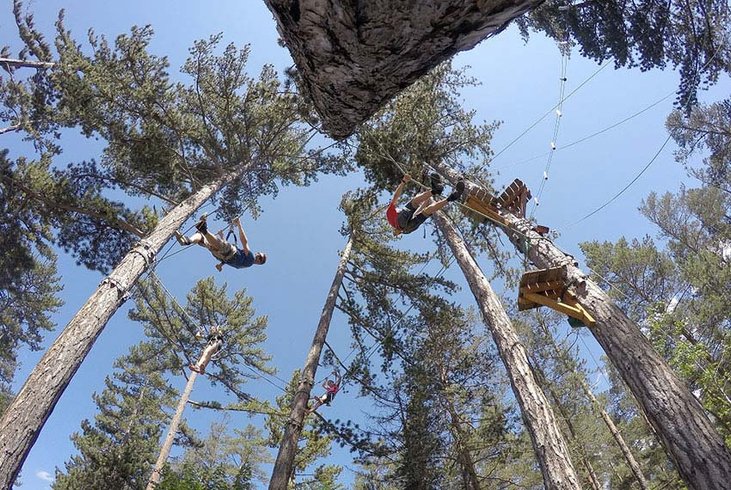 Domaine AbracadaRoom : Jungle Lodge - Image 2