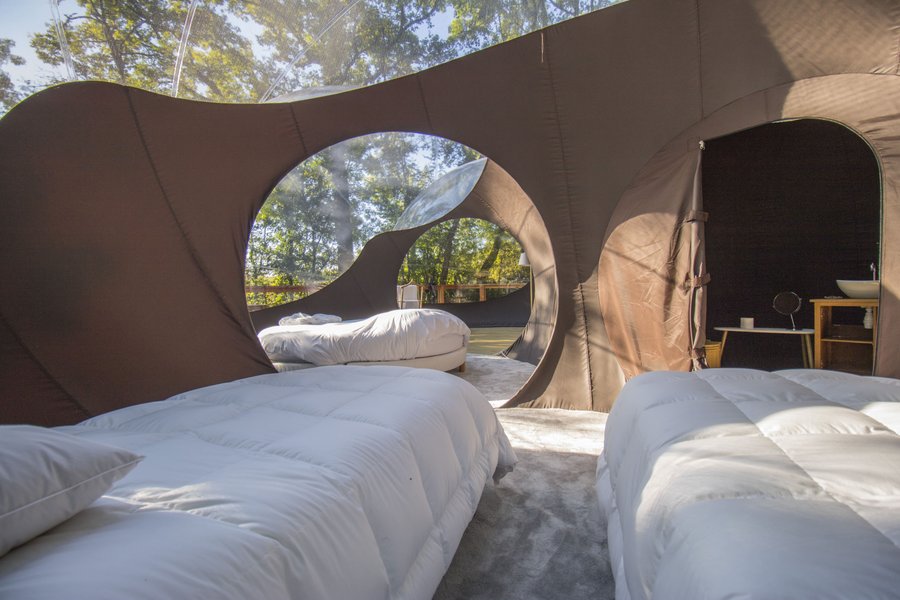 Domaine AbracadaRoom : Chrysalide Saint Martin - Image 6