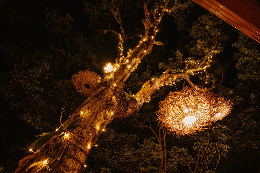 Hébergement AbracadaRoom : La Cabane aux étoiles - Image 4