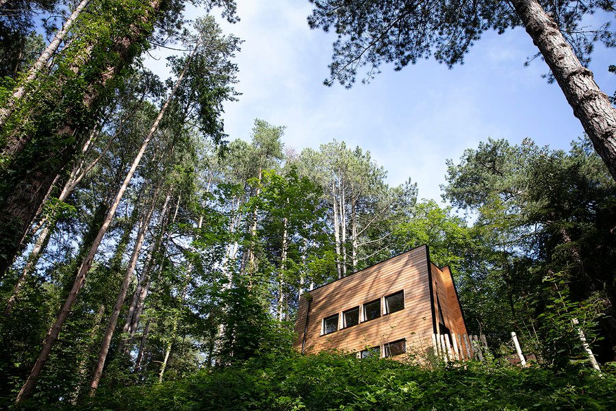 Hébergement AbracadaRoom : La Cabane Spa de Bain de Forêt - Image 2