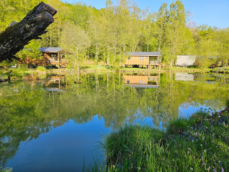 Hébergement AbracadaRoom : La Cabane du Héron, lodge sur pilotis, étang, nature, biodiversité - Image 34