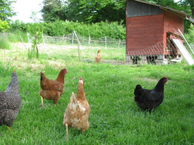 Domaine AbracadaRoom : Ferme des Ruats - Image 5