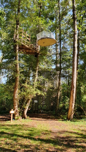 Hébergement AbracadaRoom : Bulle Haute la Maison du Rocher - Image 3