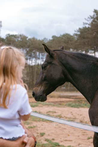 Hébergement AbracadaRoom : Roulotte classique - Campo 4 - Image 7