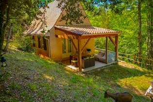 Gîte dans les bois, au coeur du Périgord noir avec étang privé