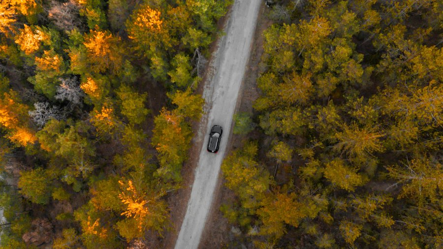 Hébergement AbracadaRoom : Aristoloche & Spa - Image 19