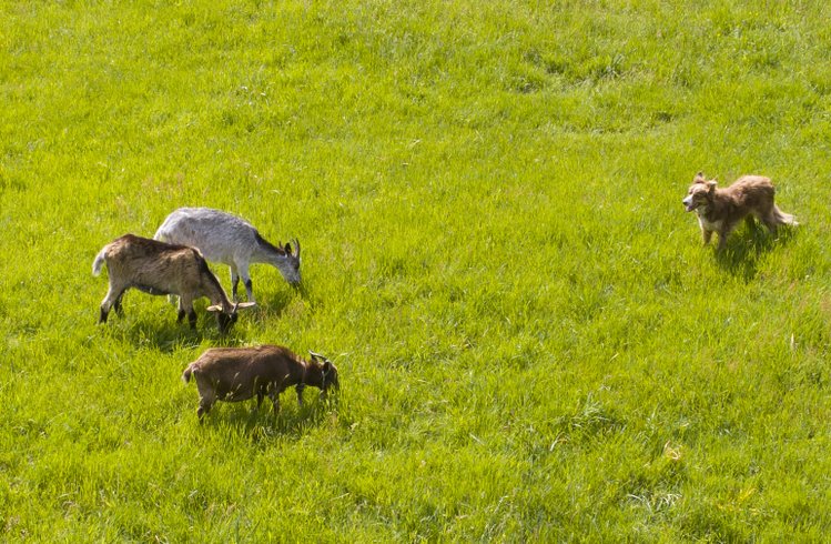 Hébergement AbracadaRoom : La Cabane du Fermier & Spa - Image 19