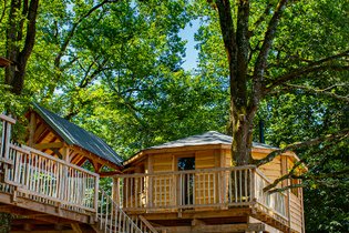 Cabane dans les arbres Dordogne