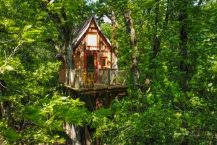 Nid'en'Ô Les Cabanes dans les Arbres