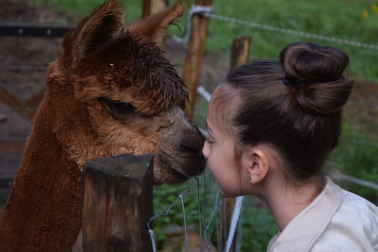 Domaine AbracadaRoom : Ferme Jean des Houx - Image 11