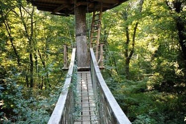 pont-amazonie-cabane-belle