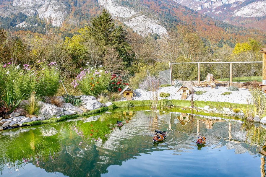 gîte la patte nordic