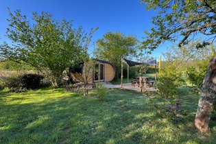 Barrel insolite dans le vignoble