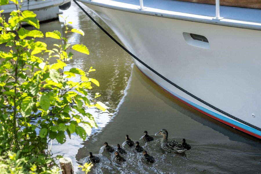 Domaine AbracadaRoom : SEALOV - Image 15