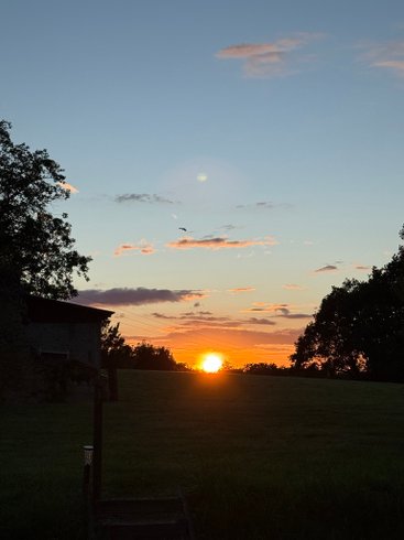 Domaine AbracadaRoom : Camping les douces nuits - Image 6