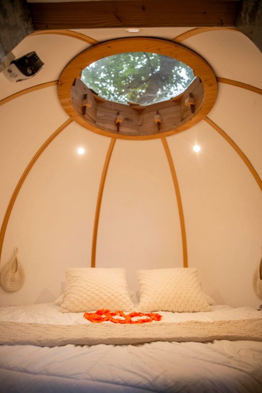 Cabane SPA Lov'nid à Gillonnay (22)