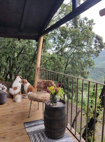 Hébergement AbracadaRoom : La Cabane des Anges - Image 4