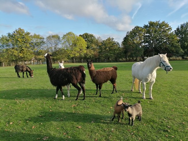 Domaine AbracadaRoom : Ecodomaine Rêver Ailleurs - Image 1